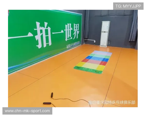 乒乓球俱乐部推动青少年训练数据化记录与分析，乒乓球俱乐部运营的研究方案